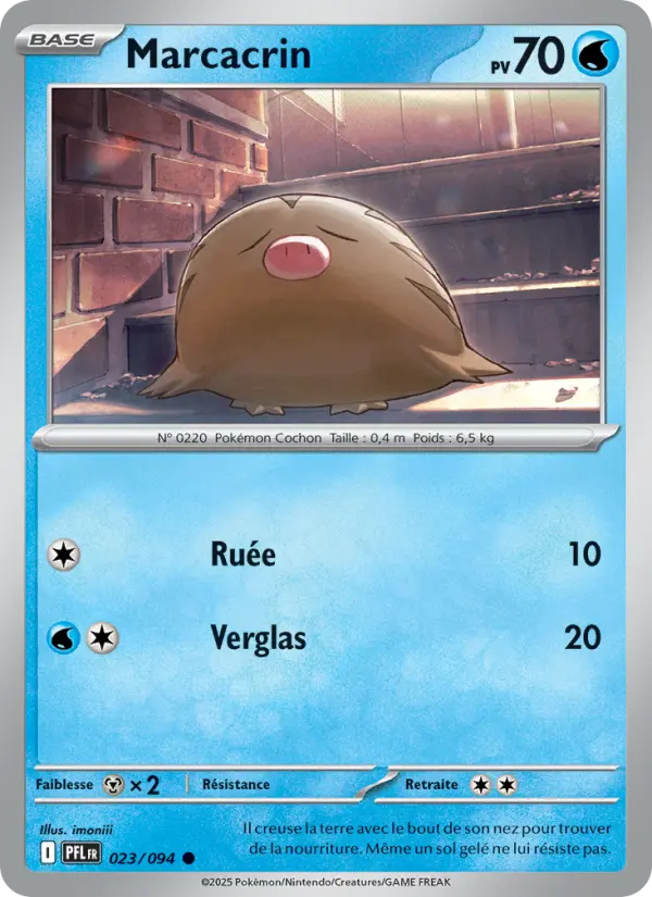 Mega Dracaufeu X ex